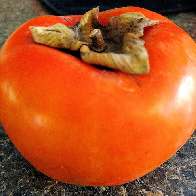 PERSIMMONS NON ASTRINGENT VARIETIES