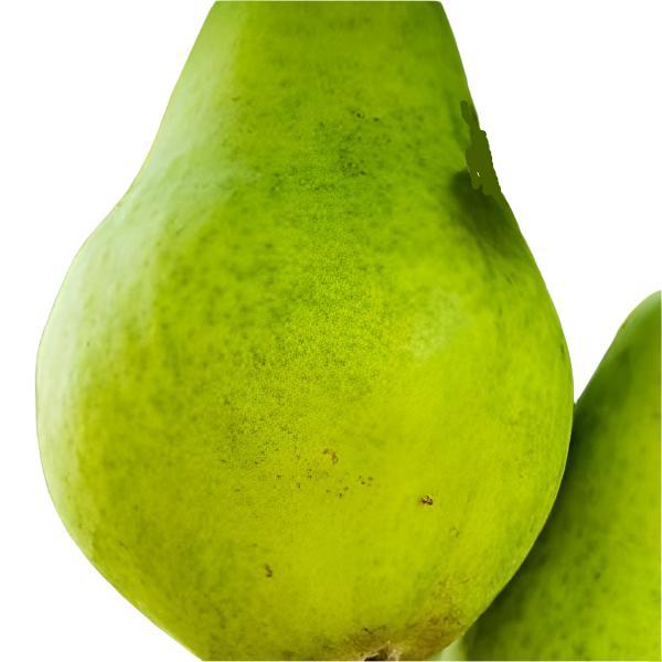 PEAR D’ANJOU