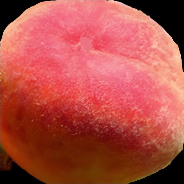 PEACH FLORDAGLO