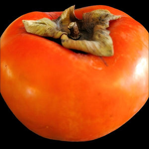 PERSIMMON FUYU