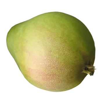 PEAR LECONTE