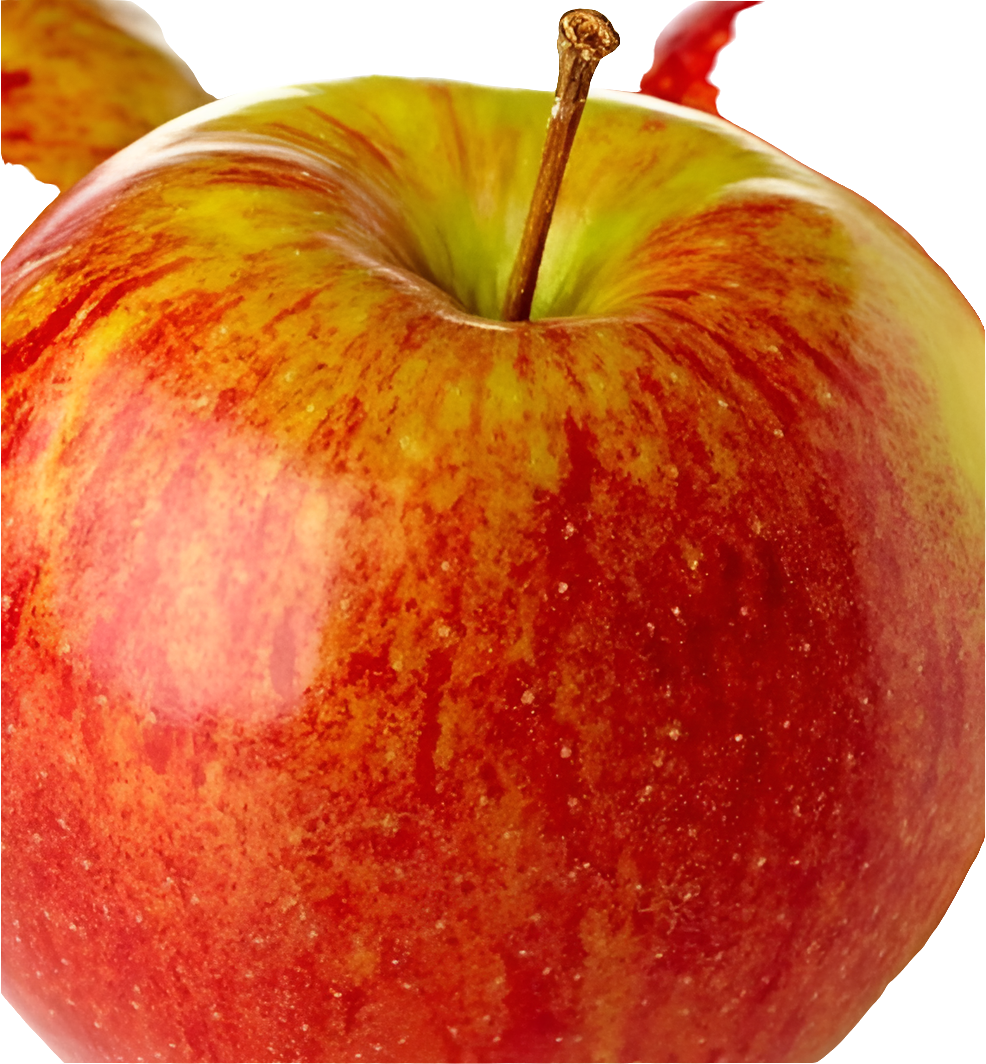 APPLE HONEYCRISP